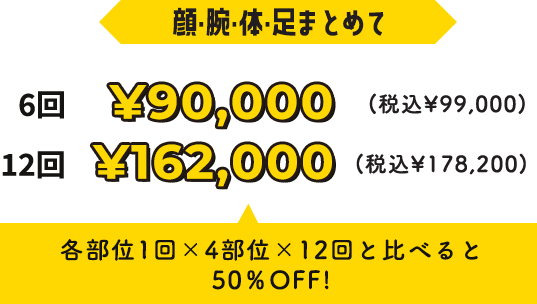 6回￥99,000円・12回￥178,200