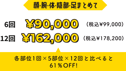6回￥99,000円・12回￥165,000
